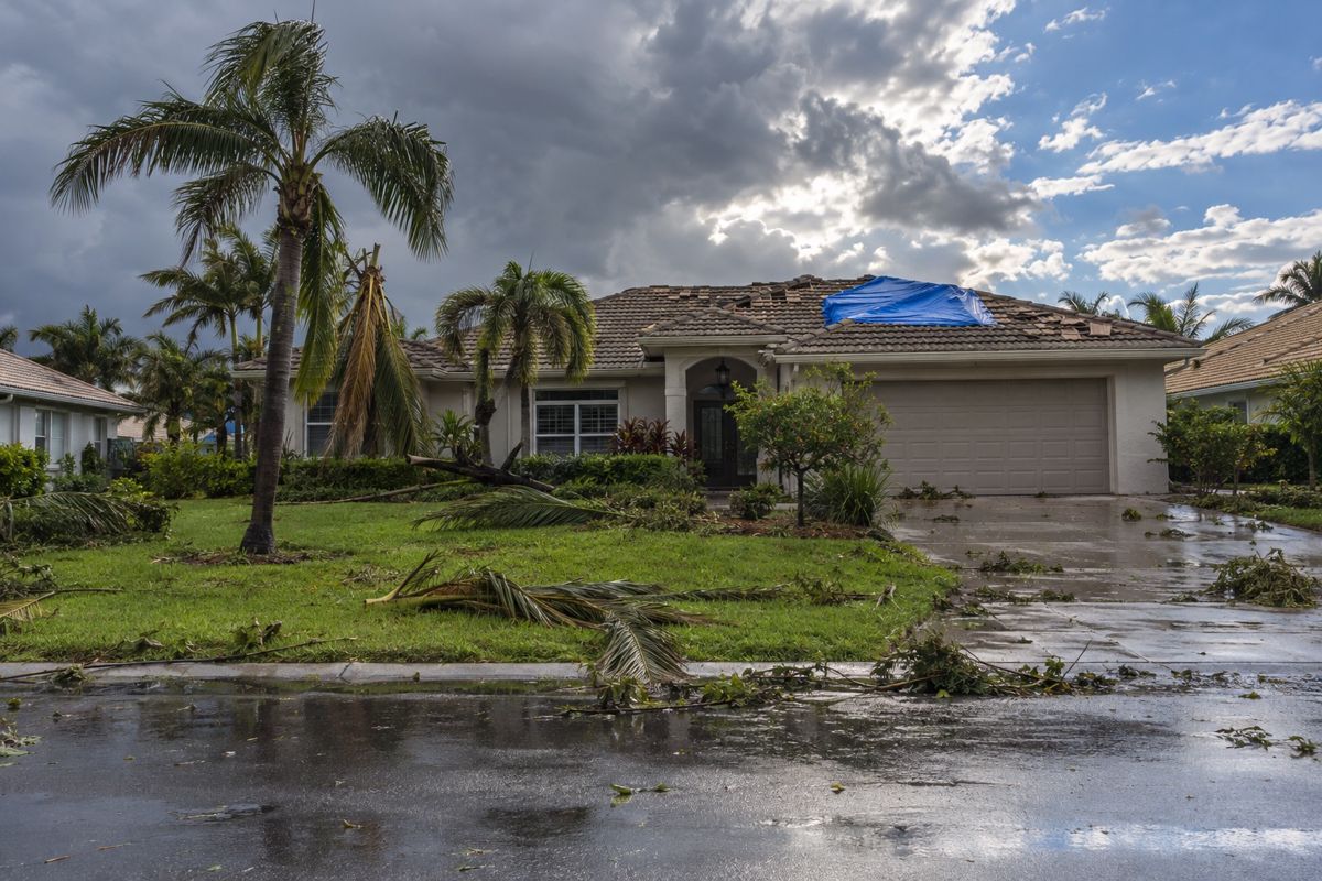 Blue tarp over damaged tile section and palm debris on a lawn after a storm
